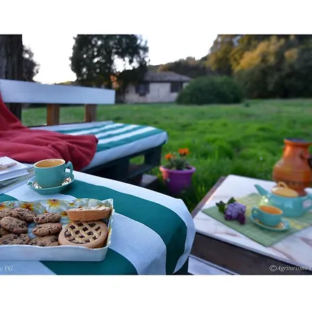 Agriturismo I Pianali * 시에나