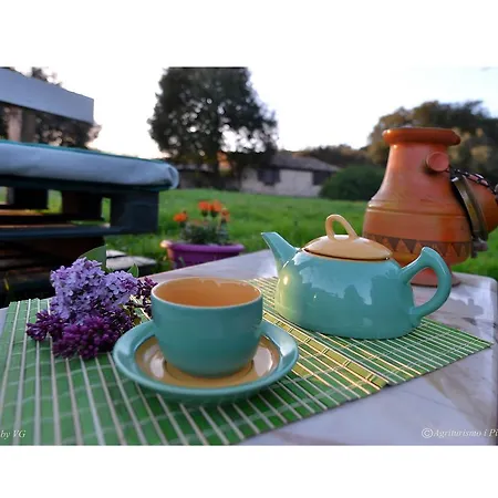 Agriturismo I Pianali 팜스테이 시에나