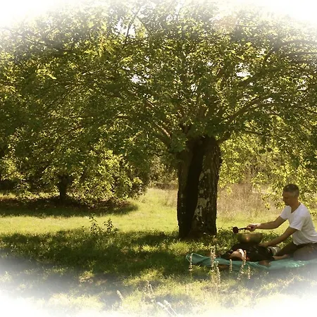 팜스테이 Agriturismo I Pianali