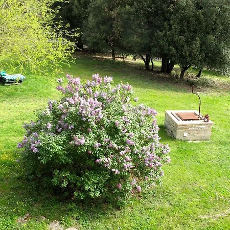 Agriturismo I Pianali 팜스테이 시에나