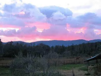 Agriturismo I Pianali *