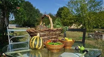팜스테이 Agriturismo I Pianali
