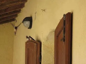 Agriturismo I Pianali *