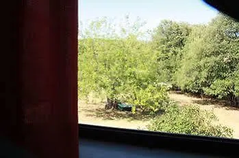 팜스테이 Agriturismo I Pianali 시에나